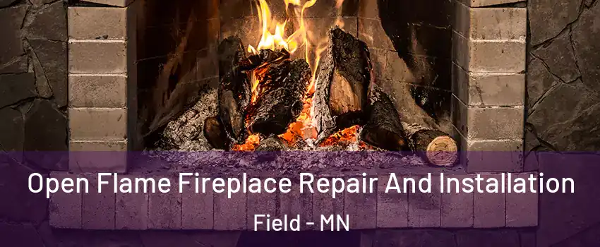 Open Flame Fireplace Repair And Installation Field - MN