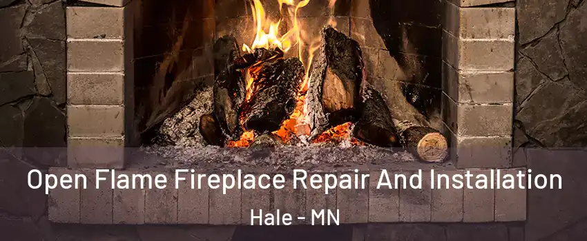 Open Flame Fireplace Repair And Installation Hale - MN