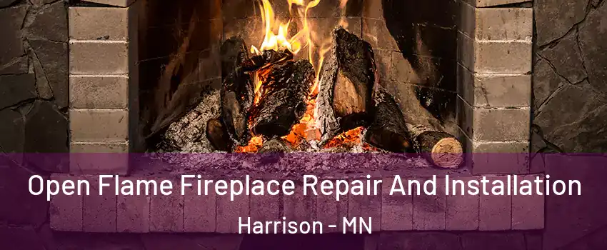 Open Flame Fireplace Repair And Installation Harrison - MN