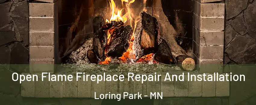 Open Flame Fireplace Repair And Installation Loring Park - MN