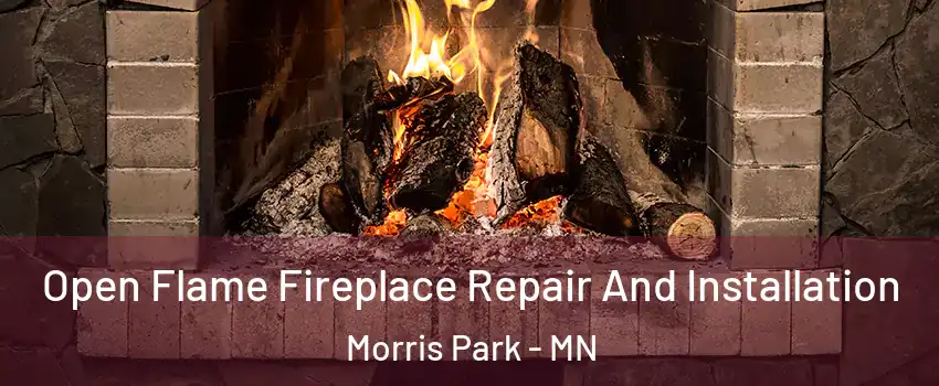 Open Flame Fireplace Repair And Installation Morris Park - MN