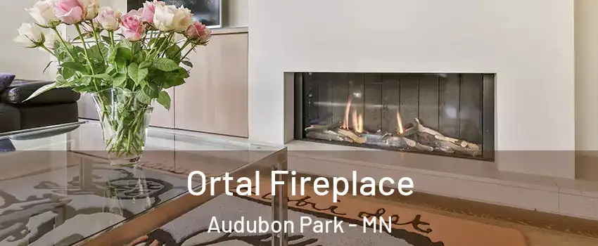 Ortal Fireplace Audubon Park - MN