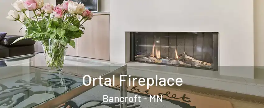 Ortal Fireplace Bancroft - MN
