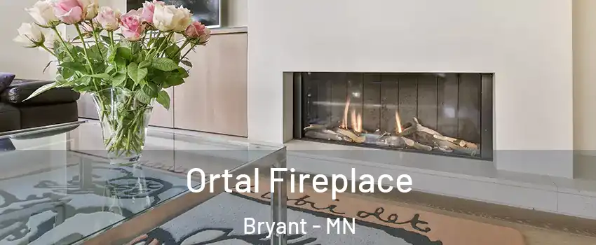 Ortal Fireplace Bryant - MN