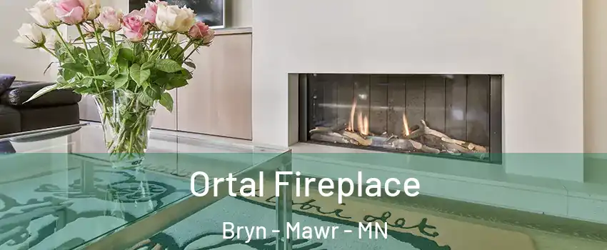 Ortal Fireplace Bryn - Mawr - MN