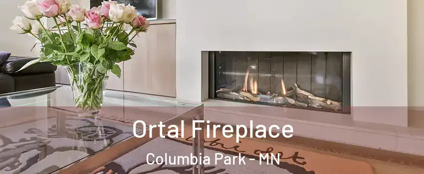 Ortal Fireplace Columbia Park - MN