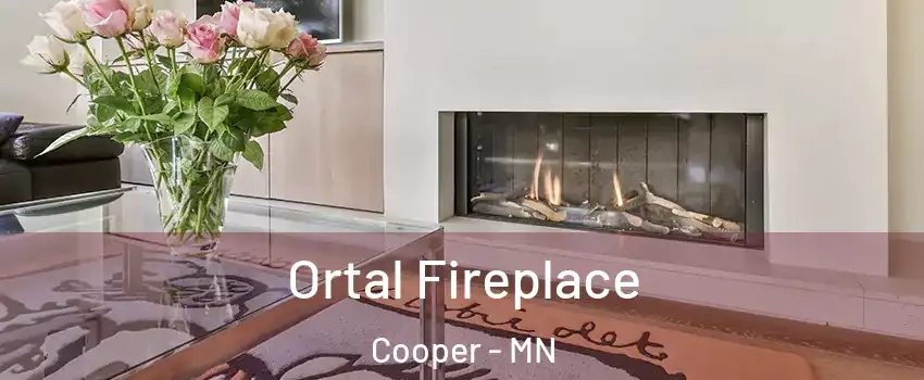 Ortal Fireplace Cooper - MN