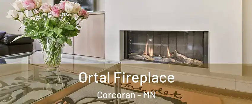 Ortal Fireplace Corcoran - MN