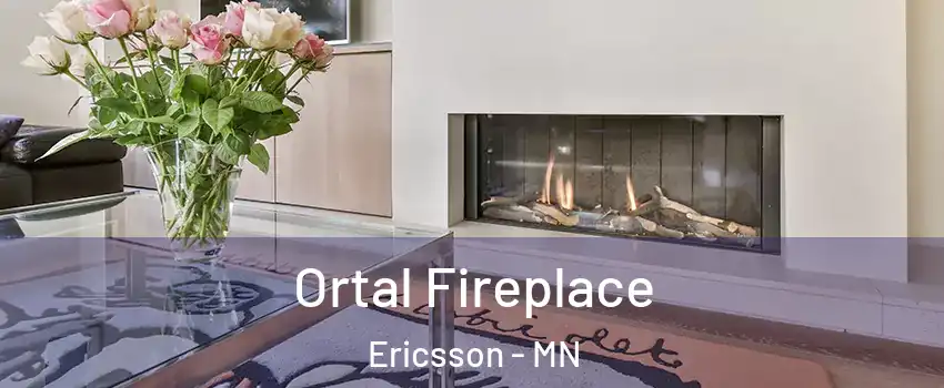 Ortal Fireplace Ericsson - MN