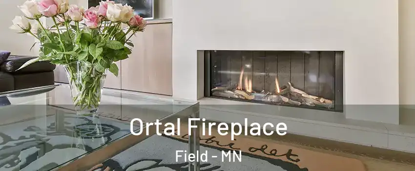 Ortal Fireplace Field - MN