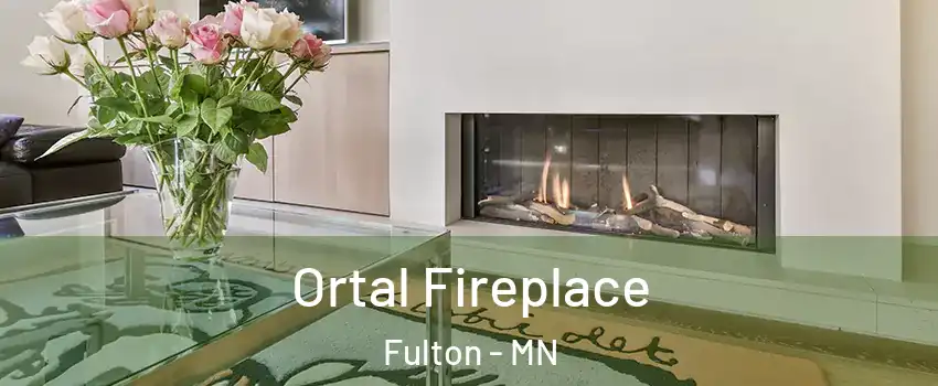 Ortal Fireplace Fulton - MN