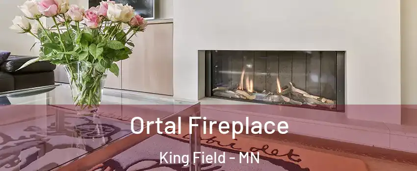 Ortal Fireplace King Field - MN
