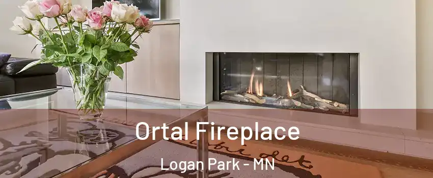 Ortal Fireplace Logan Park - MN