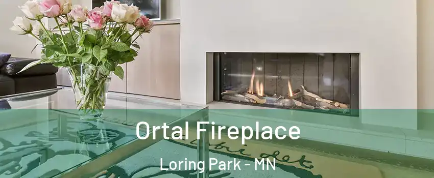 Ortal Fireplace Loring Park - MN