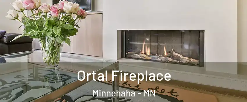 Ortal Fireplace Minnehaha - MN