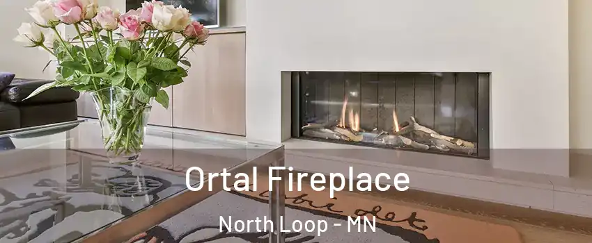 Ortal Fireplace North Loop - MN