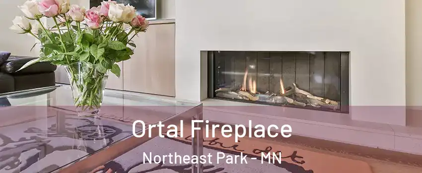 Ortal Fireplace Northeast Park - MN