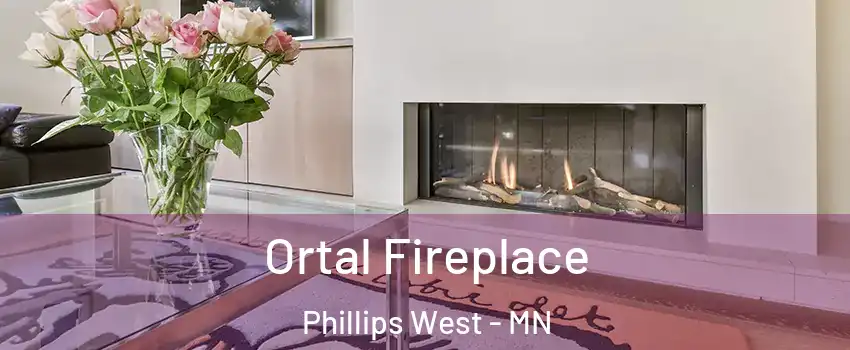 Ortal Fireplace Phillips West - MN