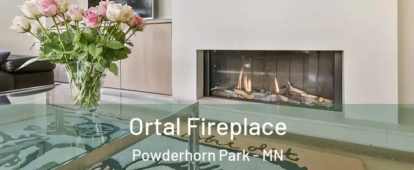 Ortal Fireplace Powderhorn Park - MN