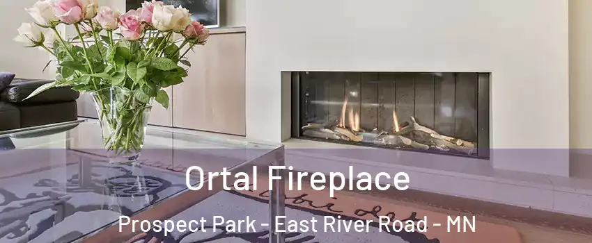 Ortal Fireplace Prospect Park - East River Road - MN