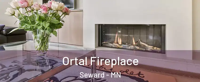 Ortal Fireplace Seward - MN