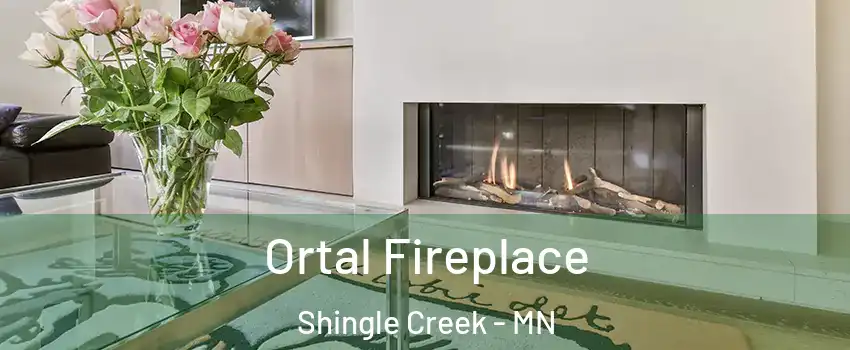 Ortal Fireplace Shingle Creek - MN