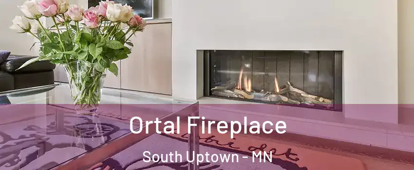 Ortal Fireplace South Uptown - MN