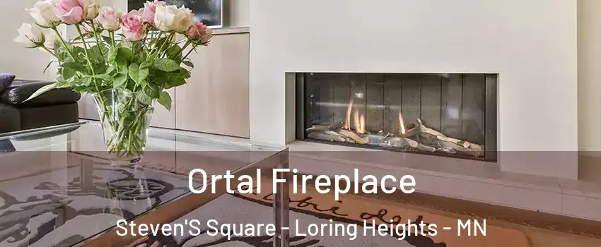 Ortal Fireplace Steven'S Square - Loring Heights - MN