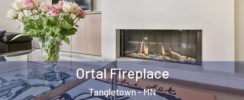 Ortal Fireplace Tangletown - MN