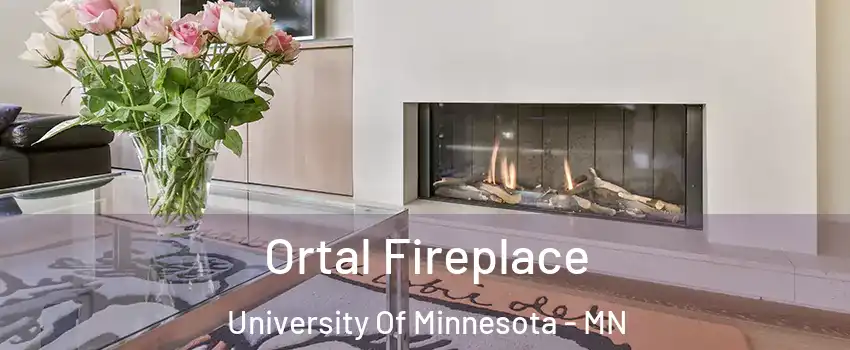 Ortal Fireplace University Of Minnesota - MN