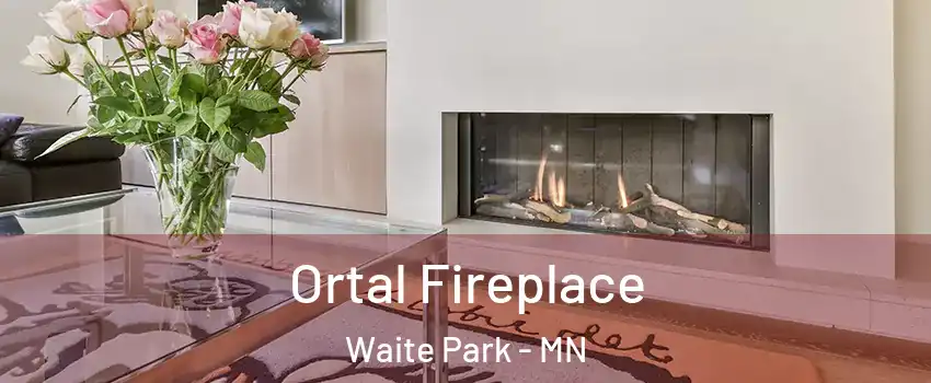 Ortal Fireplace Waite Park - MN