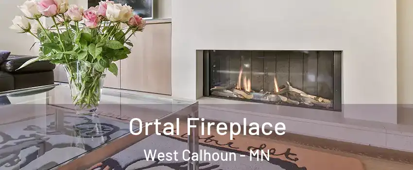 Ortal Fireplace West Calhoun - MN