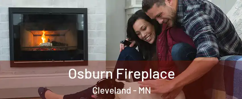 Osburn Fireplace Cleveland - MN