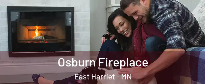 Osburn Fireplace East Harriet - MN