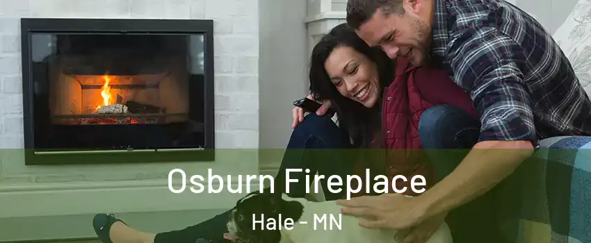 Osburn Fireplace Hale - MN