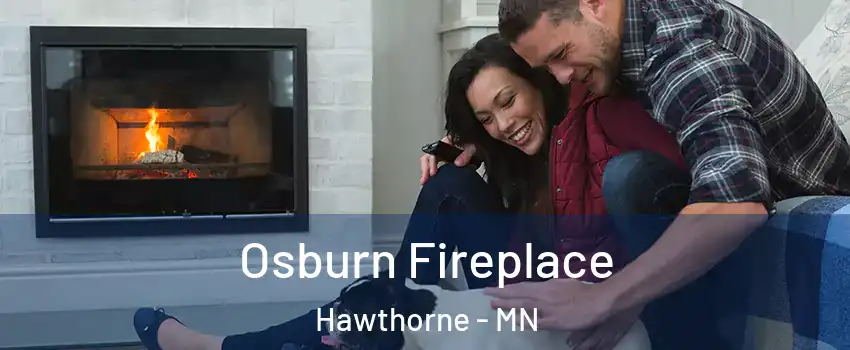 Osburn Fireplace Hawthorne - MN