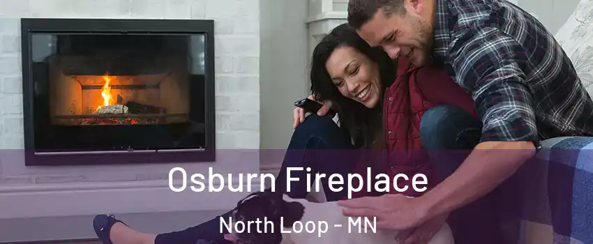 Osburn Fireplace North Loop - MN
