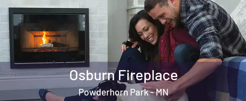 Osburn Fireplace Powderhorn Park - MN
