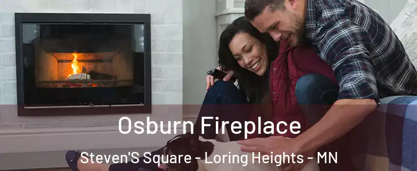 Osburn Fireplace Steven'S Square - Loring Heights - MN