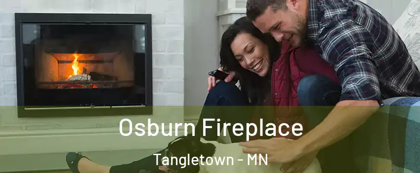 Osburn Fireplace Tangletown - MN