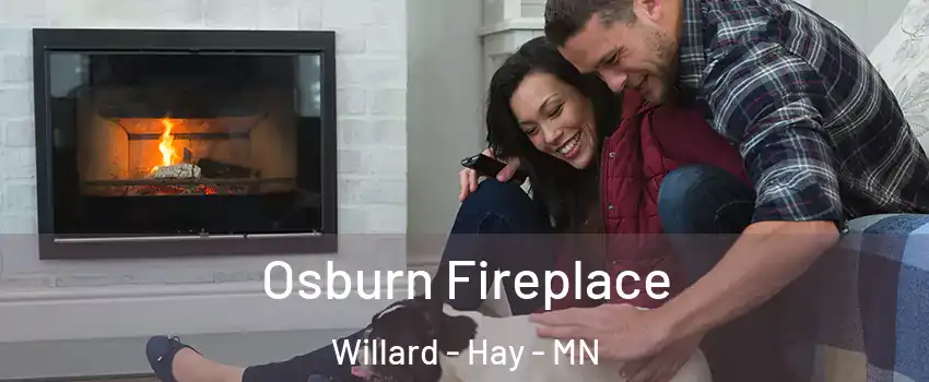 Osburn Fireplace Willard - Hay - MN