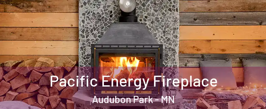Pacific Energy Fireplace Audubon Park - MN