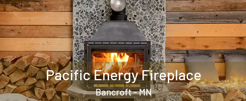Pacific Energy Fireplace Bancroft - MN