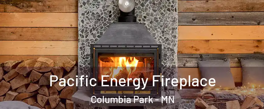 Pacific Energy Fireplace Columbia Park - MN