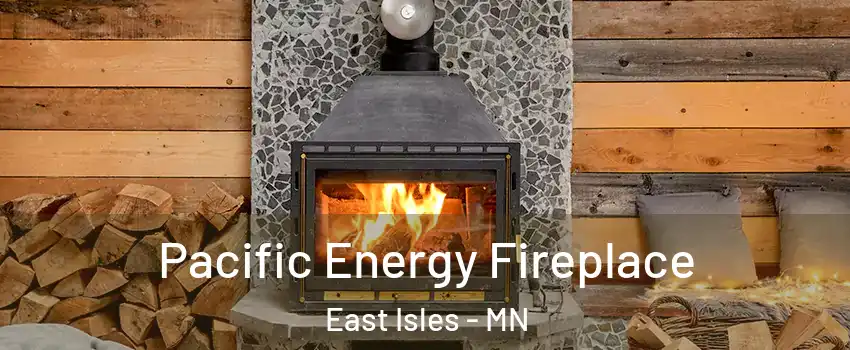 Pacific Energy Fireplace East Isles - MN