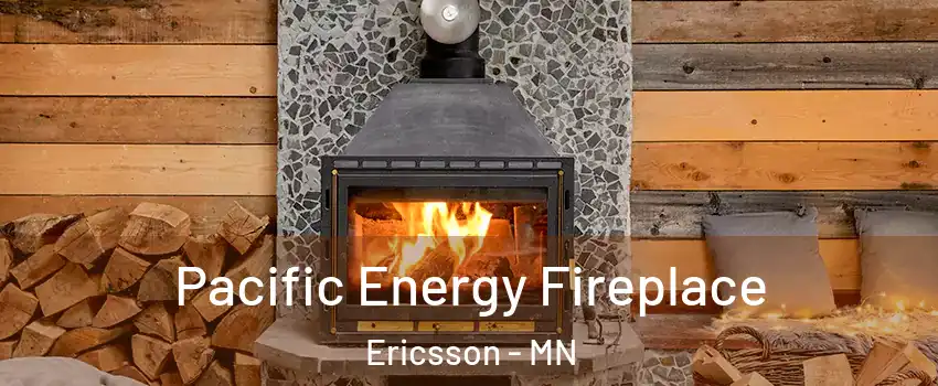 Pacific Energy Fireplace Ericsson - MN