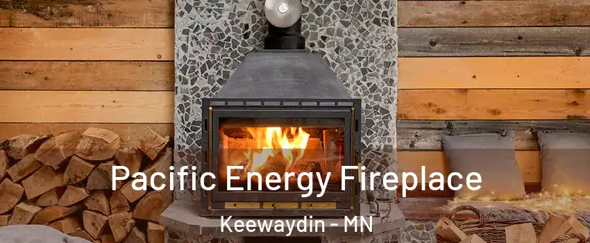 Pacific Energy Fireplace Keewaydin - MN