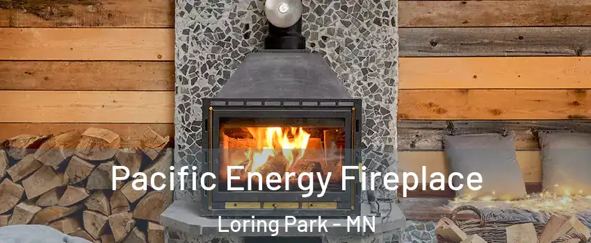 Pacific Energy Fireplace Loring Park - MN