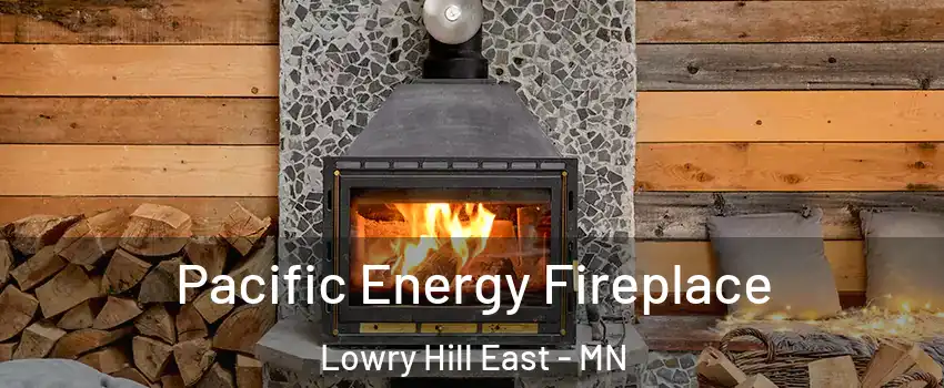 Pacific Energy Fireplace Lowry Hill East - MN