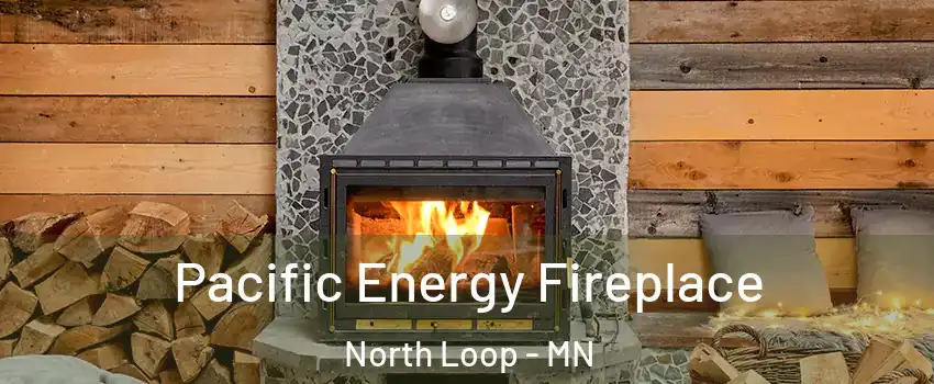 Pacific Energy Fireplace North Loop - MN